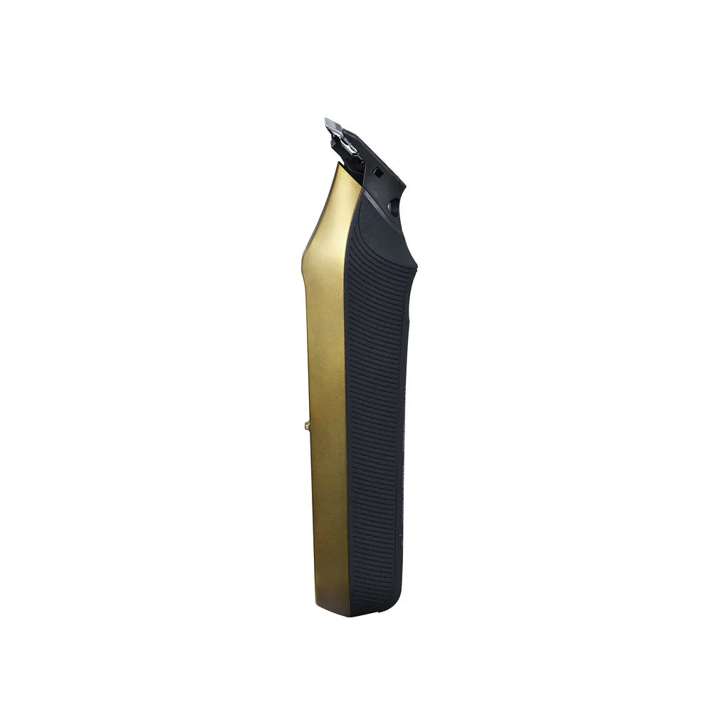 Panasonic THE BARIKAN: Professional T-Blade Trimmer for Barbers